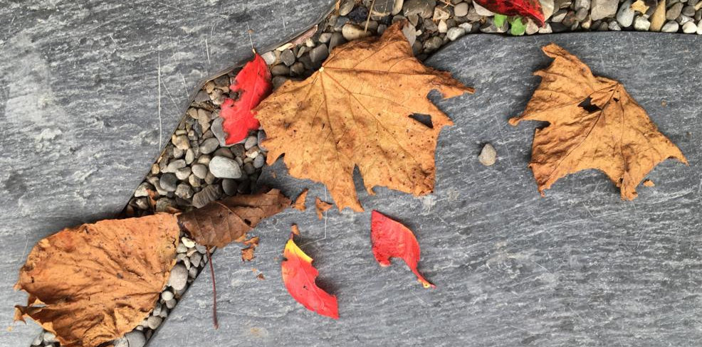 herbsession 2020 - Laubig