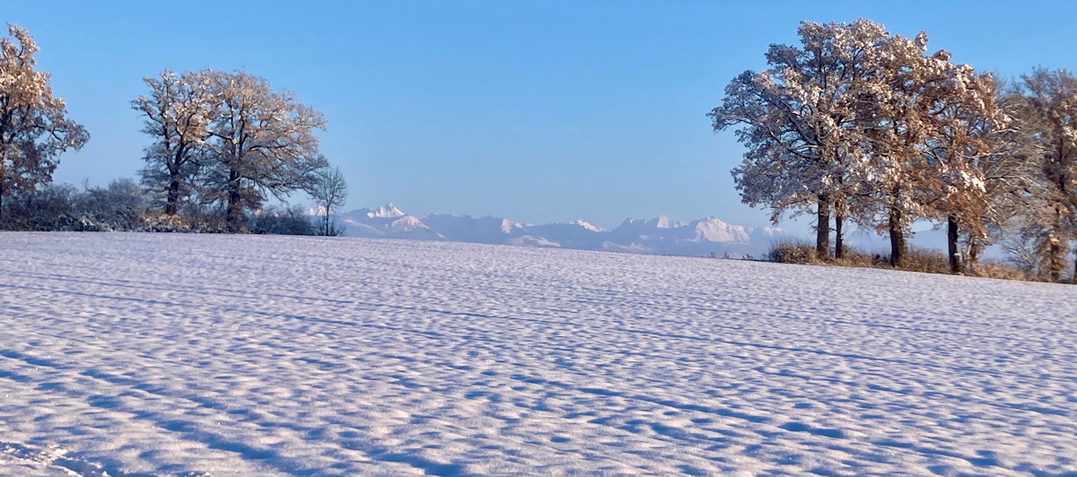 leise nieselt der schnee