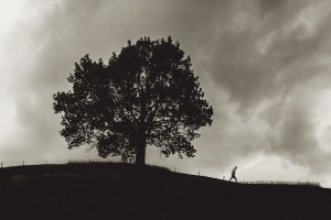 sommer_mms2015_gian-003-2  