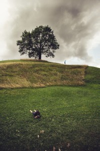 sommer_mms2015_gian-003  