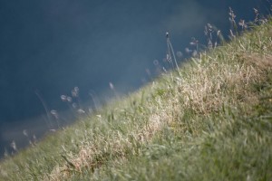 sommer_mms2015_gian-018  