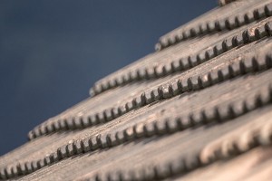 sommer_mms2015_gian-022  